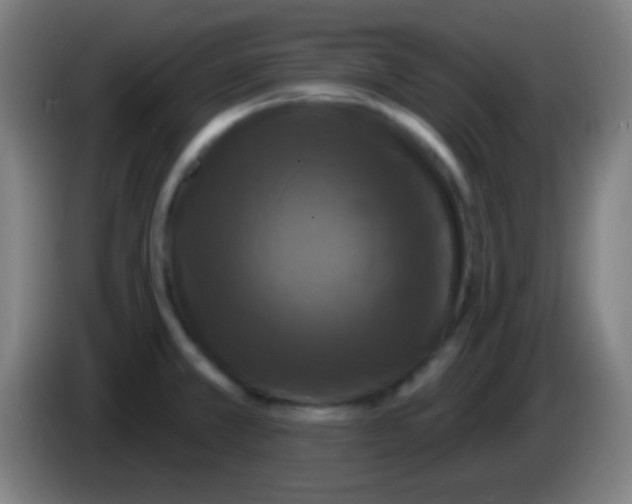 X0000085301381200703301950