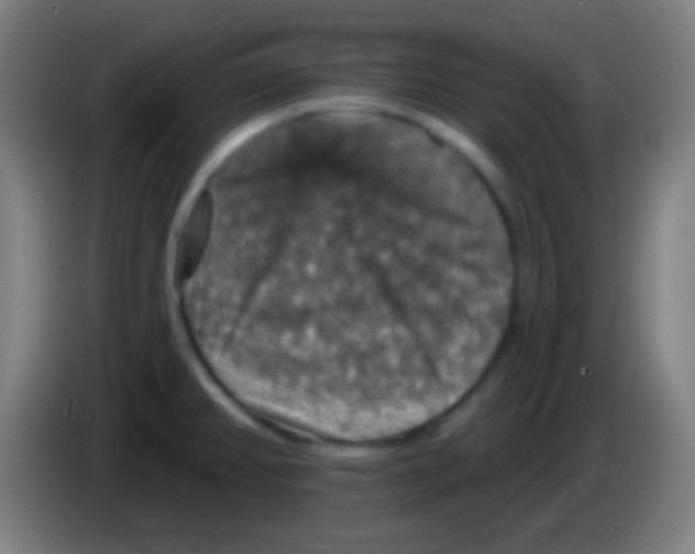 X0000085301382200703301950