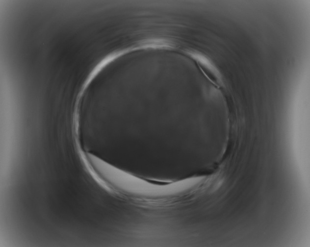 X0000085301383200703301950