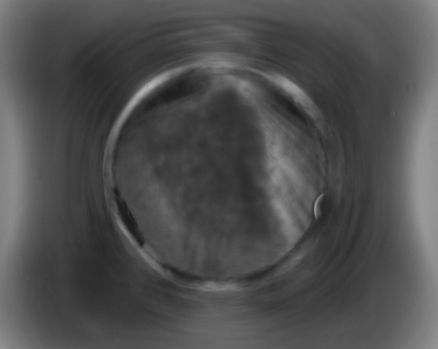 X0000085301384200703301950