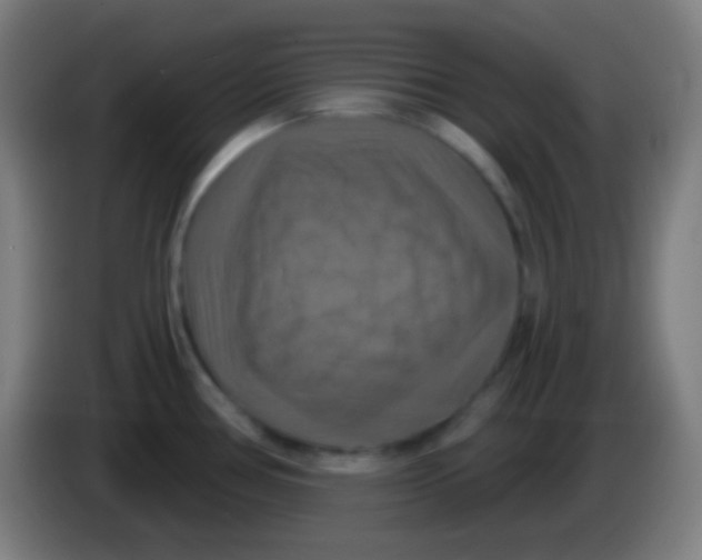 X0000085301386200703301950