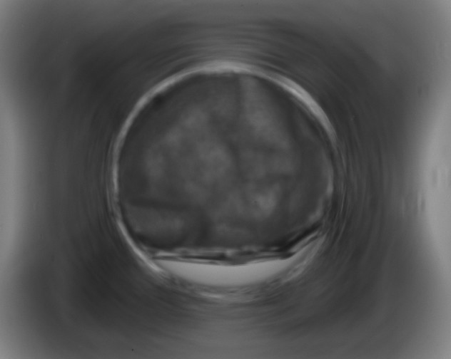 X0000085301388200703301950