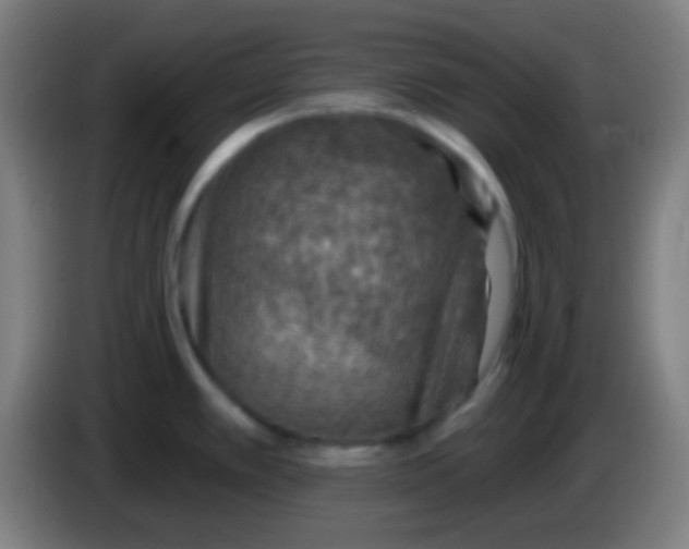 X0000085301389200703301950