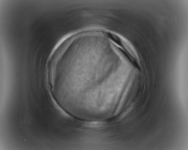 X0000085301390200703301950