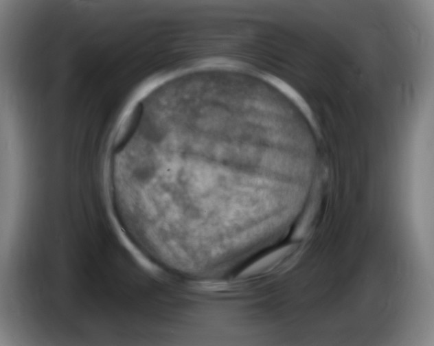 X0000085301391200703301950