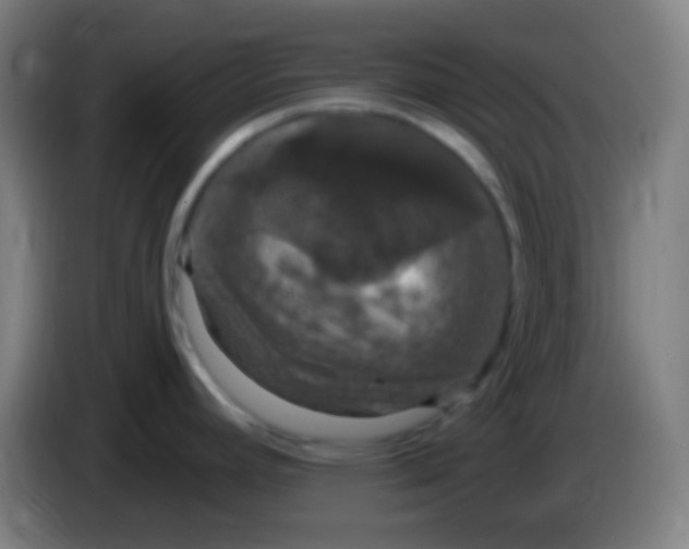 X0000085301392200703301950