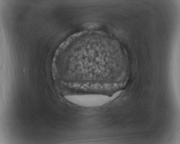 X0000085301393200703301949