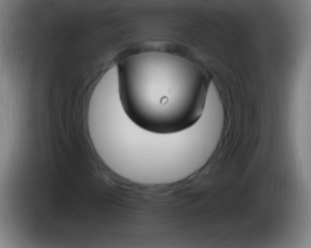 X0000085301394200703301950