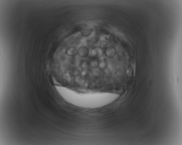 X0000085301395200703301950