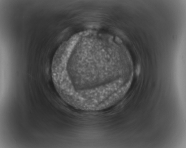 X0000085301396200703301950