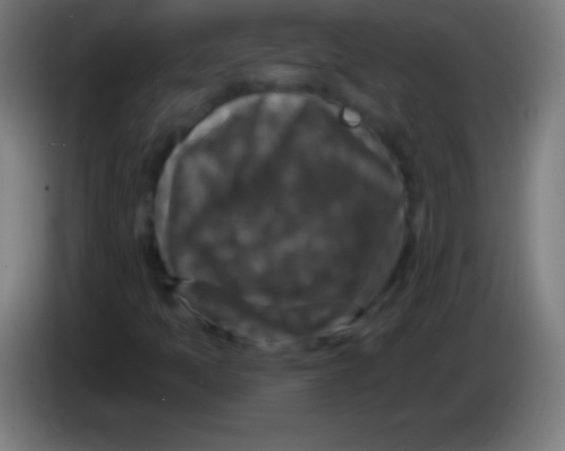 X0000085301397200703301950