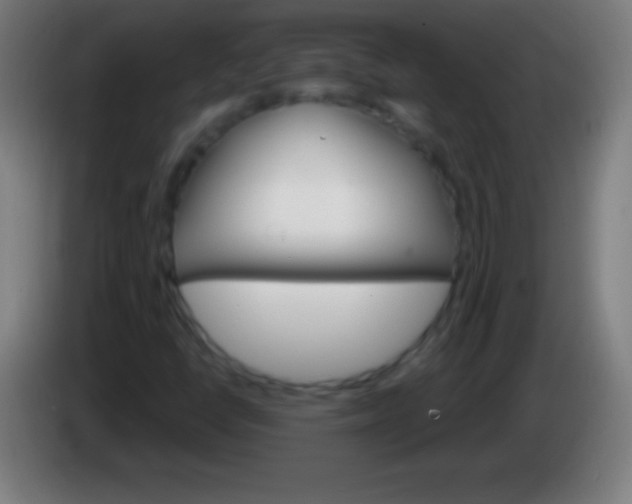 X0000085301398200703301950