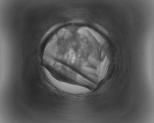 X0000085301400200703301950