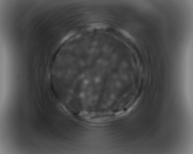 X0000085301401200703301950