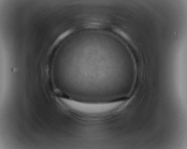 X0000085301402200703301950