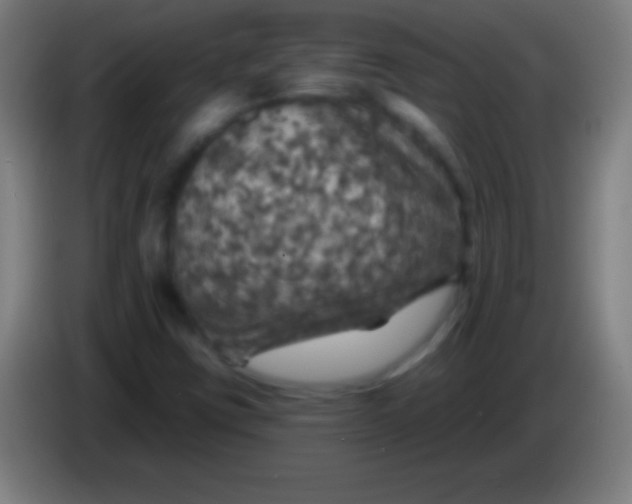 X0000085301403200703301950