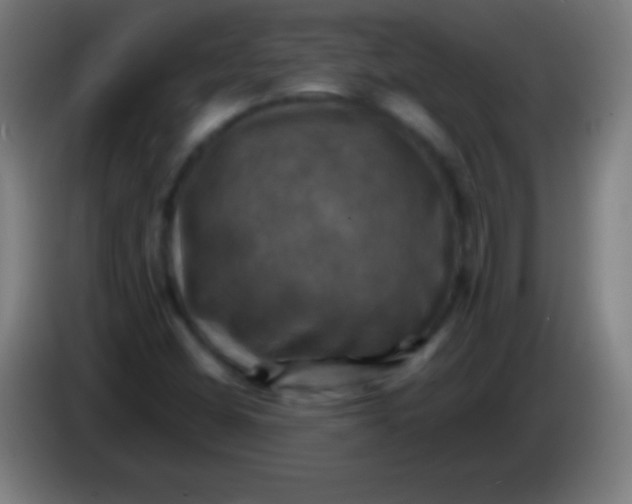 X0000085301404200703301950