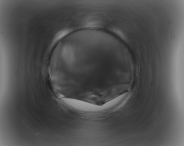 X0000085301405200703301950