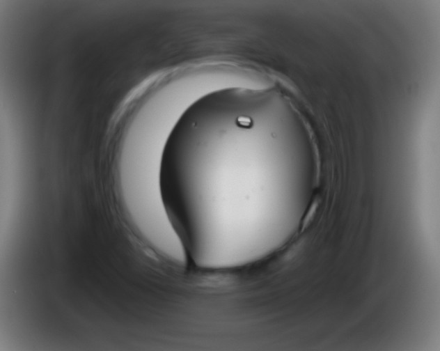 X0000085301406200703301950