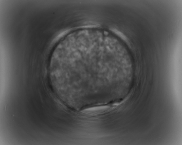 X0000085301407200703301950