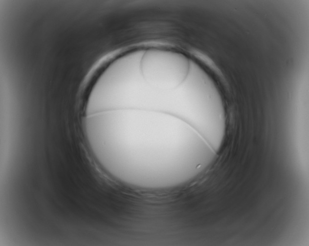 X0000085301408200703301950