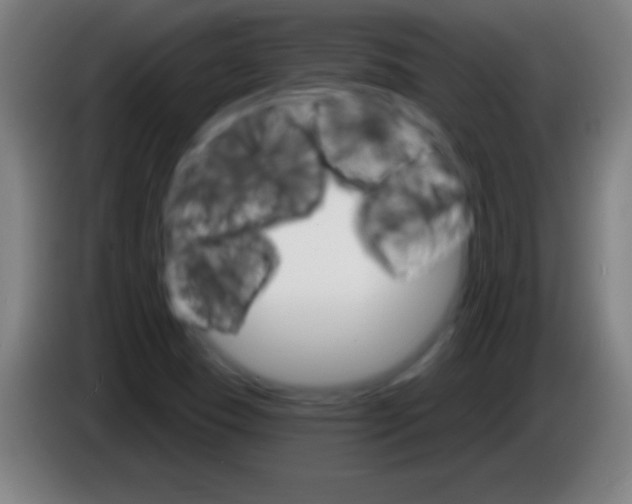 X0000085301409200703301950