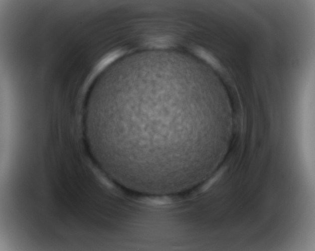 X0000085301410200703301950