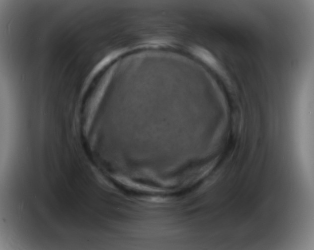 X0000085301412200703301950