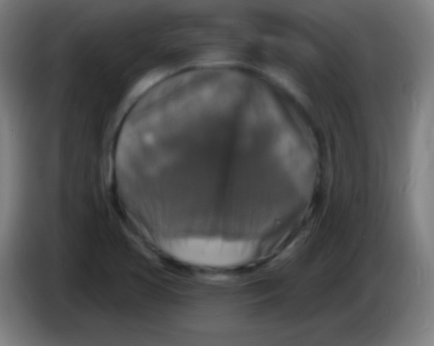 X0000085301413200703301950