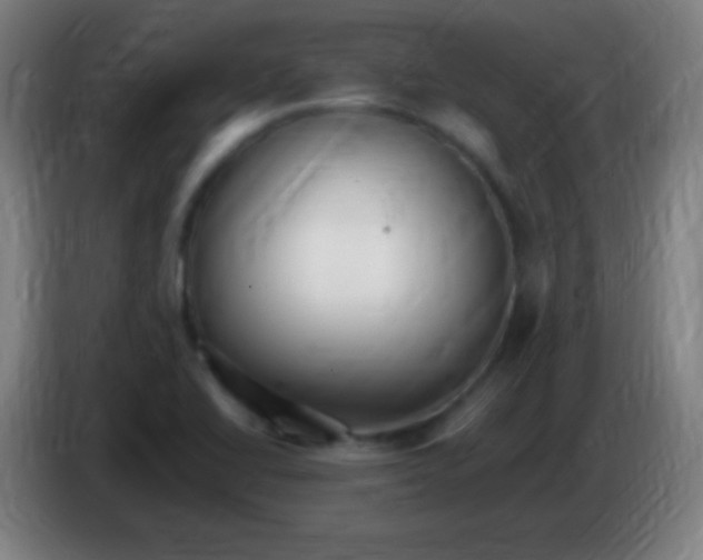 X0000085301414200703301950