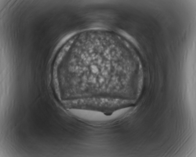 X0000085301415200703301950