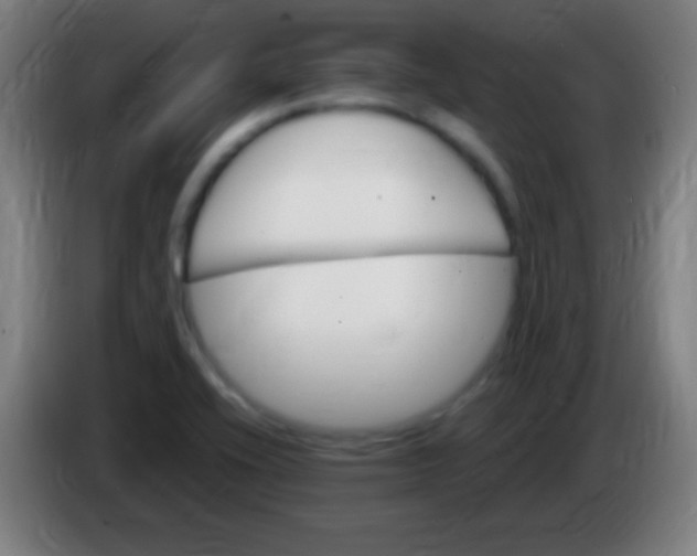 X0000085301416200703301950