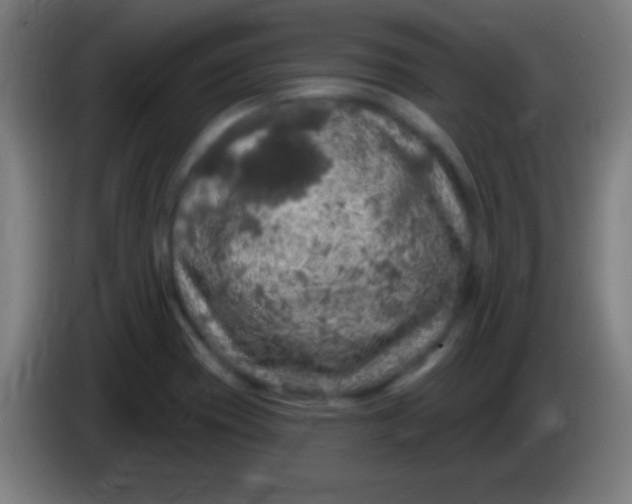 X0000085301417200703301950