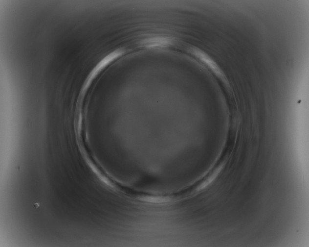 X0000085301418200703301950