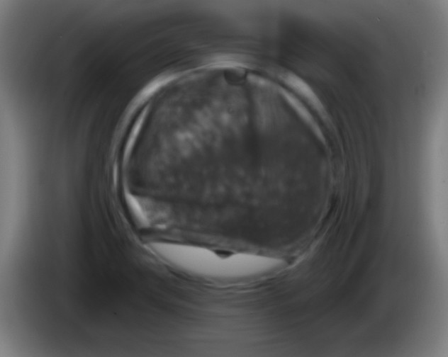 X0000085301419200703301950