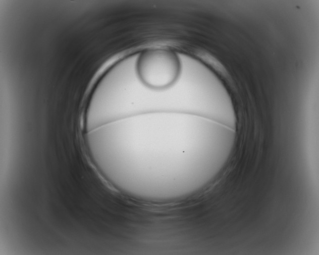 X0000085301420200703301950