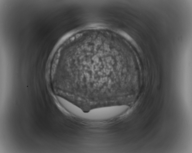 X0000085301421200703301950