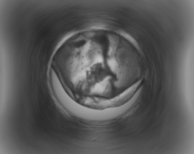 X0000085301423200703301950