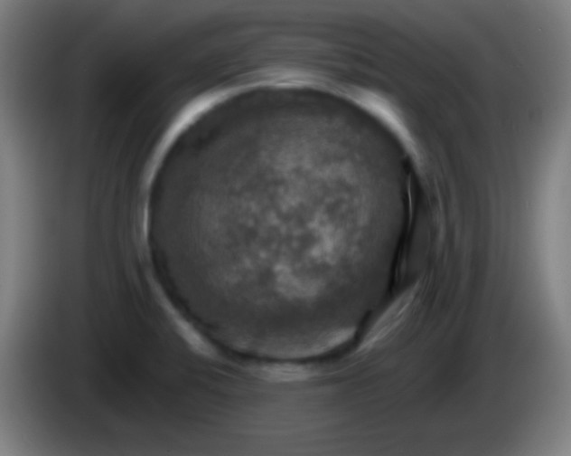 X0000085301424200703301950