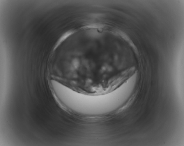 X0000085301425200703301950