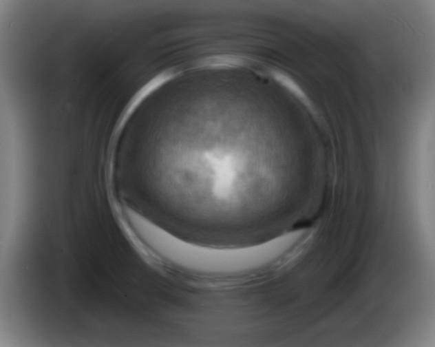 X0000085301426200703301950