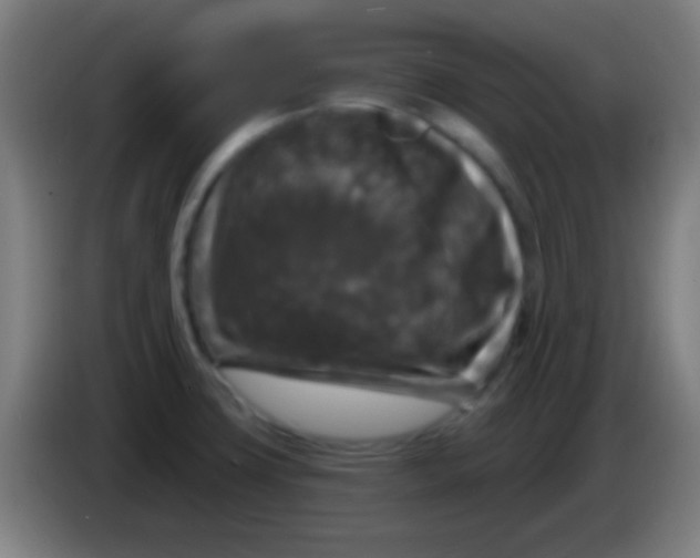 X0000085301427200703301950