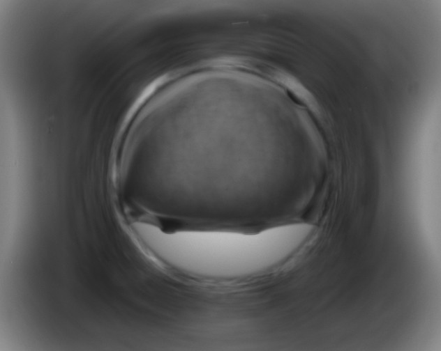 X0000085301428200703301950