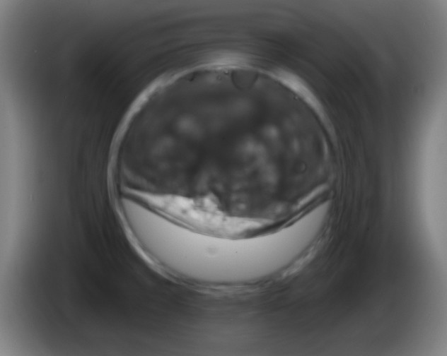 X0000085301429200703301950