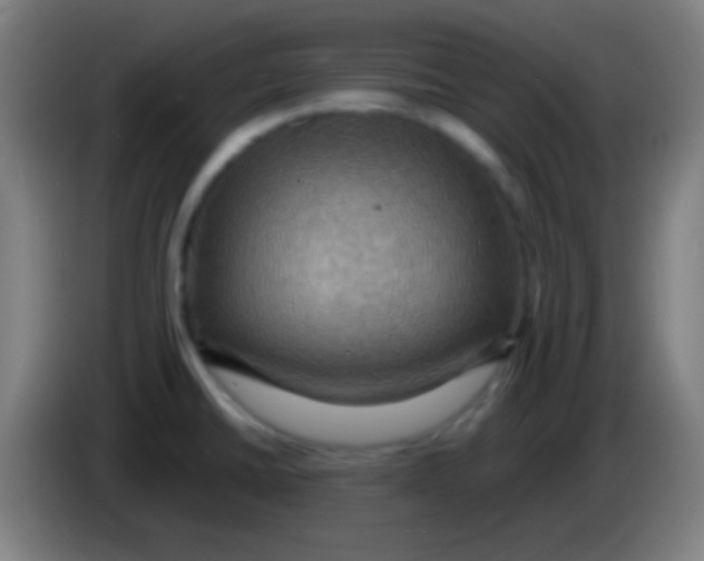 X0000085301430200703301950