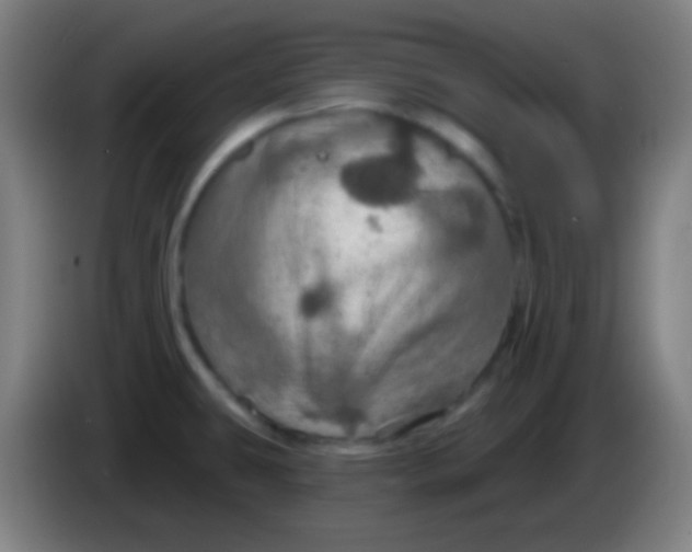 X0000085301431200703301950