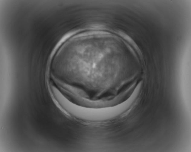 X0000085301432200703301950