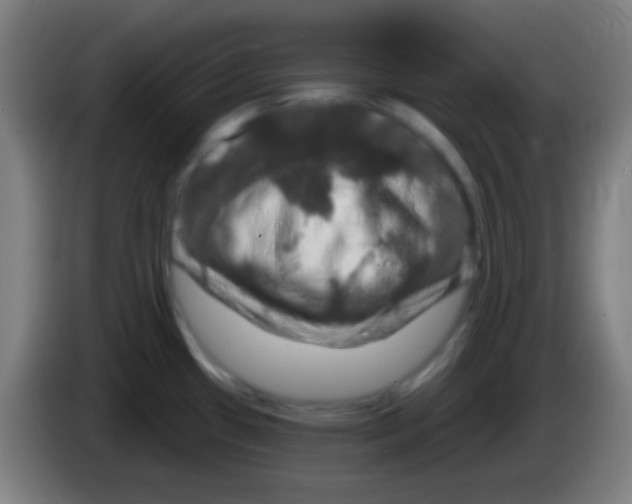 X0000085301433200703301950