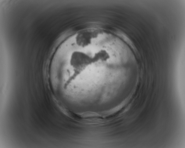 X0000085301435200703301950