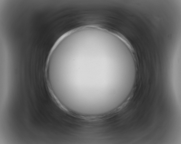 X0000085301436200703301950